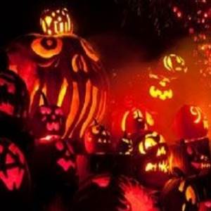 Astrologer dk sharma